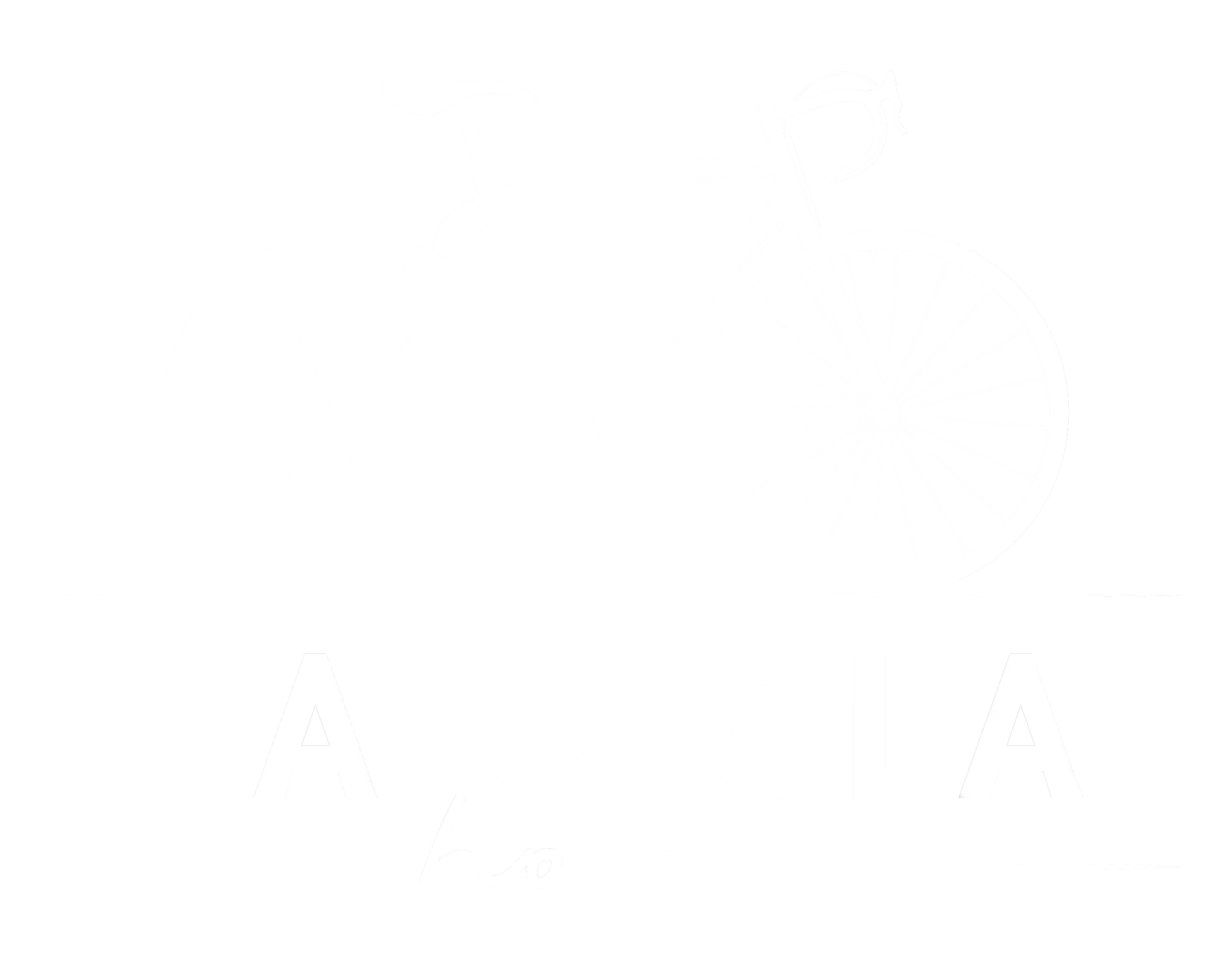 IMG-LOGO